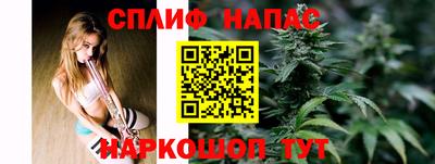 гидропоника Гусь-Хрустальный